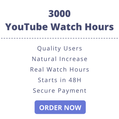 3000 YouTube Watch Hours