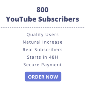 Buy 800 YouTube Subscribers